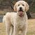 Michelle Taylor's profile image