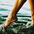 Melissa Allen Stone's profile image