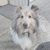 Kelvin Grover's profile image