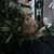 Julie Boolie's profile image