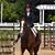 Kim VandenBiesen's profile image