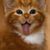Terry Windsor's profile image