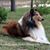 Elaine Evensen Sturkol's profile image