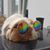 Ken Wallin's profile image