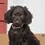 Marla Shipley's profile image