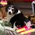 Debi Brown's profile image