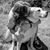 Chris Beverly-Coffey's profile image