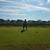 Donna Queener's profile image