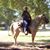 Roger Hebert's profile image