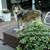 Cindi Conner's profile image