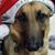 Nancy Dement's profile image