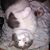 Cathy Molasky's profile image
