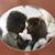 Susan Miller Cox's profile image