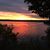 James Ann Bell's profile image