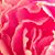 Kathy Berry Pilolla's profile image