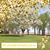 Kelly Schaefer Kepp's profile image