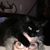 Laura Presley Curlee's profile image