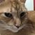 Dawn Hendricks Magdanz's profile image