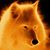 Michael Shay White's profile image