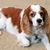 Lynn Kingsbury Mcminn's profile image