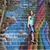 Renee Bruns Drossel's profile image