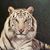 Barbara Moore's profile image