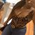 Rayna M. Padgett's profile image
