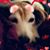 Jami King-Gladfelter's profile image