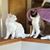 Cathi Mince's profile image