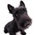 Lynn Huskey's profile image