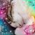 Toni Tallerino's profile image