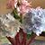 Barbara Bogni's profile image