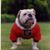 Steve Holcomb's profile image