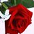 Flor De Mar Garcia's profile image