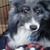 Bob Strang's profile image