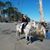 Wendy Wilmoth's profile image
