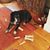 Judith Blumert's profile image