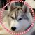 Lana Ridley Dorn's profile image