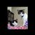 Jen Edwards's profile image