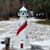 Dave Boyer-the Elder's profile image