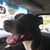 Helen Mary Heany's profile image