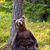 Grizz Paschke's profile image
