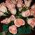 Kathy Royal's profile image