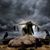 Tara Chevelle Powell's profile image