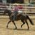 Savanna Cipolla-Karcher's profile image