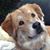 JoAnn DeCleene's profile image