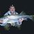 Angelo Rivera's profile image