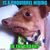 Jamie Shoemaker ONeil's profile image