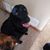 Lisa DeHaas's profile image