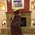 Tabitha Riley's profile image